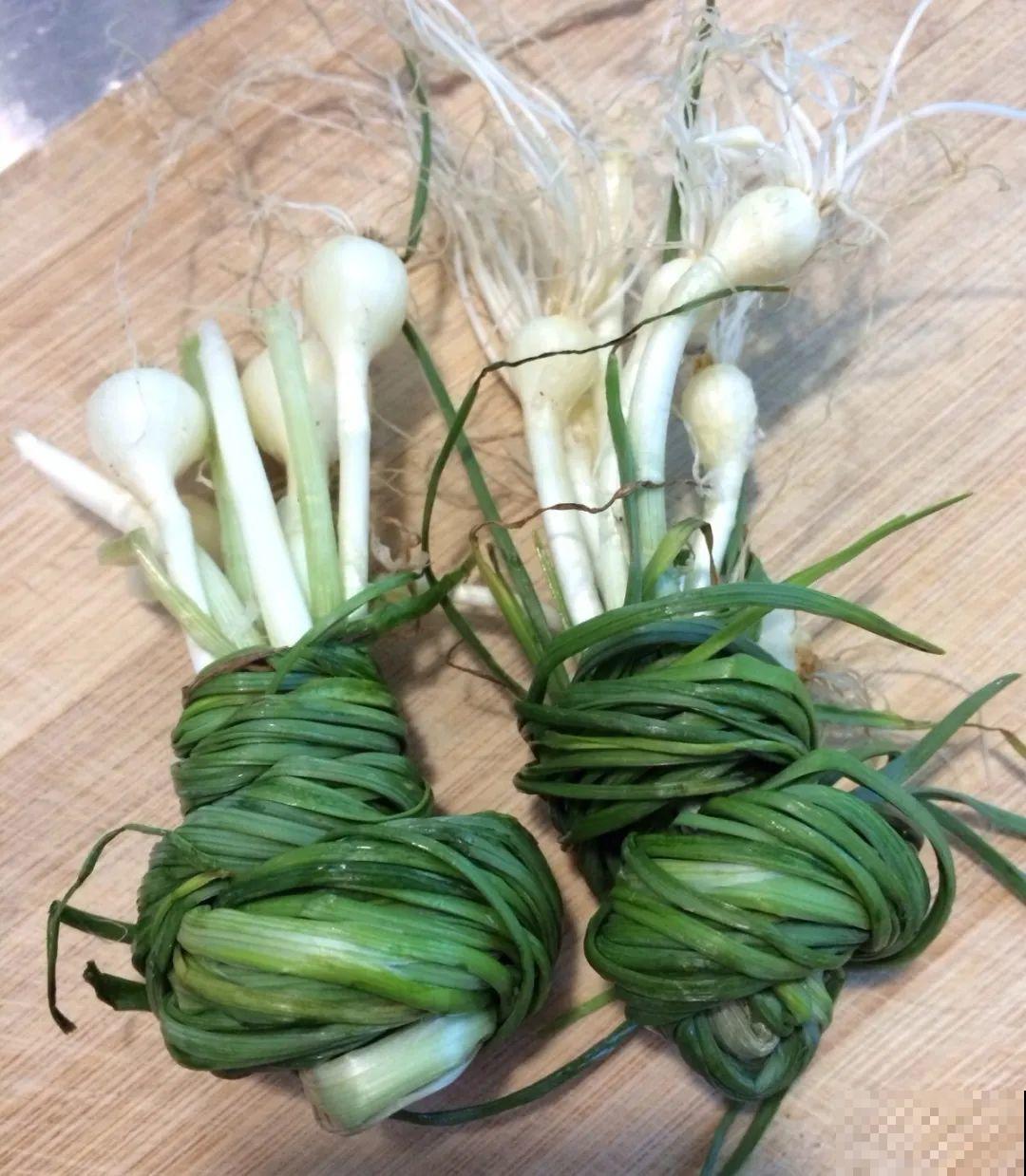 秋天野菜贵如金，赶紧上山挖，很快就老了