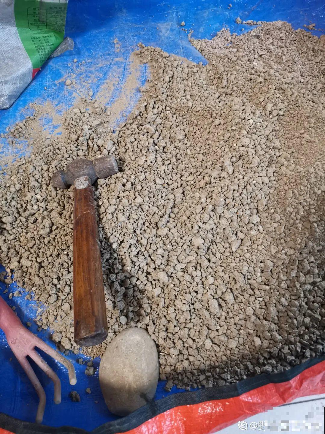 换盆的旧土别丢了,掺点料,肥得冒油! 换盆的旧土别丢了,掺点料,肥得冒油!