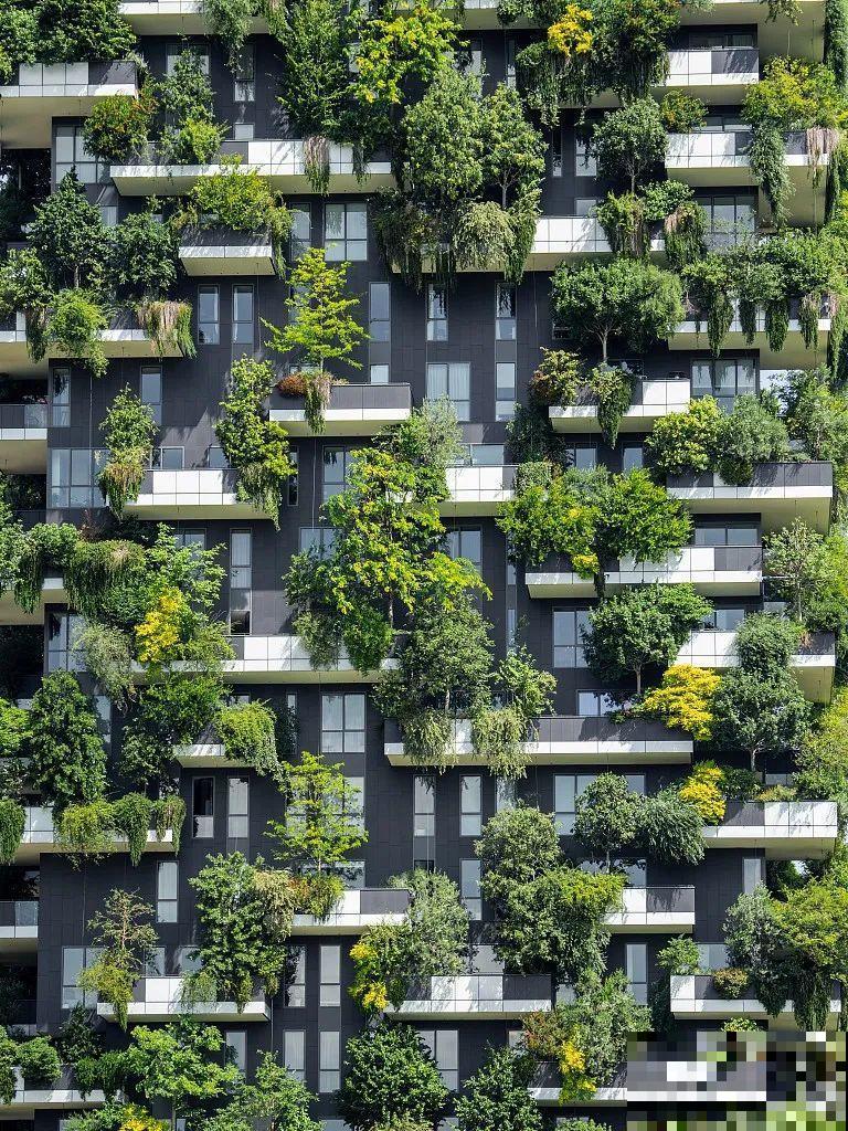 小区楼房被绿植全包围,像个森林一样,你想住进去吗? 小区楼房被绿植全包围,像个森林一样,你想住进去吗?