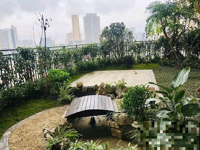 被绿植包围的森林小区,家家阳台满是植物,这样的小区你想住吗? 被绿植包围的森林小区,家家阳台满是植物,这样的小区你想住吗?