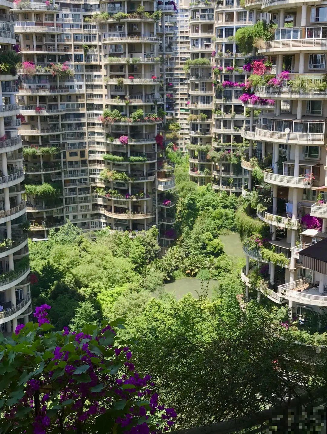 小区楼房被绿植全包围,像个森林一样,你想住进去吗? 小区楼房被绿植全包围,像个森林一样,你想住进去吗?