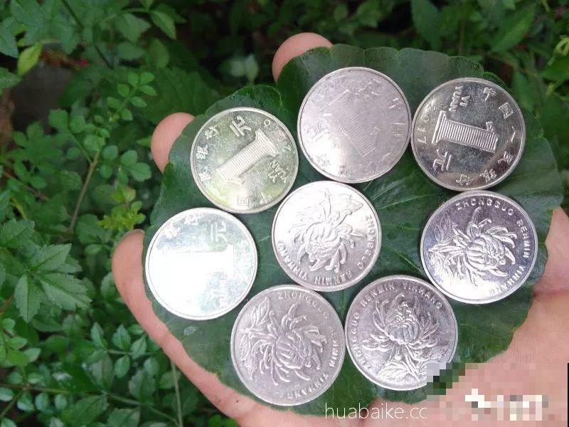 比人还大的植物叶,感受一下来自大自然的神奇! 比人还大的植物叶,感受一下来自大自然的神奇!