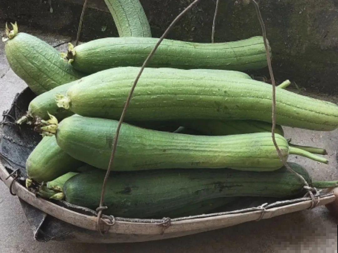 20种有毒花,出门别乱摘,有小孩的特别注意 20种有毒花,出门别乱摘,有小孩的特别注意