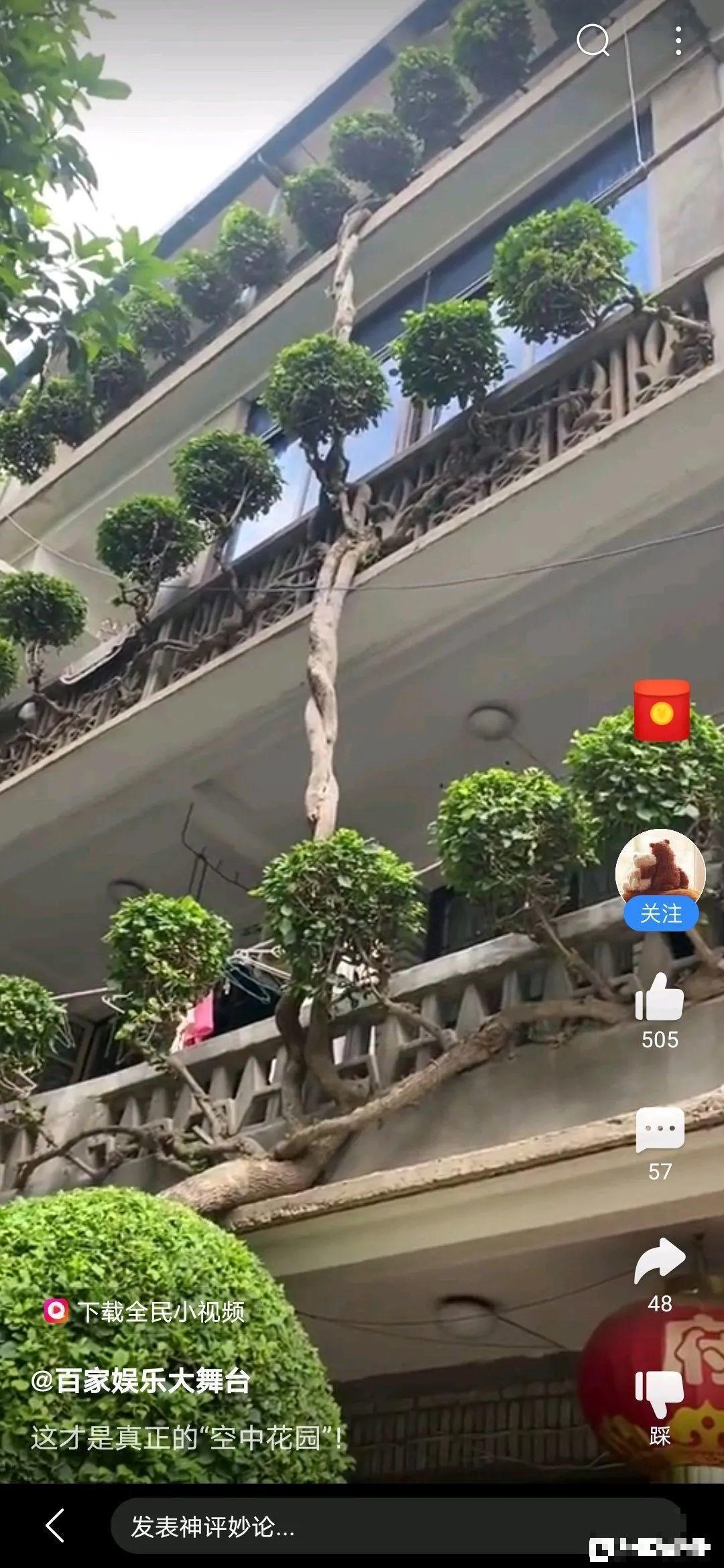 30层楼高开满三角梅,变成空中花园,太美了! 30层楼高开满三角梅,变成空中花园,太美了!