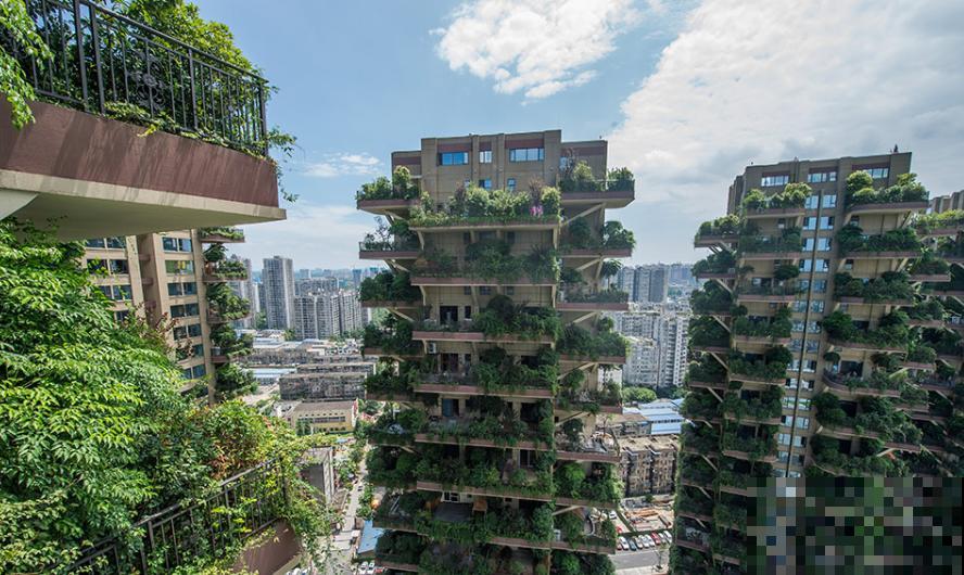 被绿植包围的森林小区,家家阳台满是植物,这样的小区你想住吗? 被绿植包围的森林小区,家家阳台满是植物,这样的小区你想住吗?
