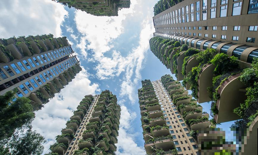 被绿植包围的森林小区,家家阳台满是植物,这样的小区你想住吗? 被绿植包围的森林小区,家家阳台满是植物,这样的小区你想住吗?