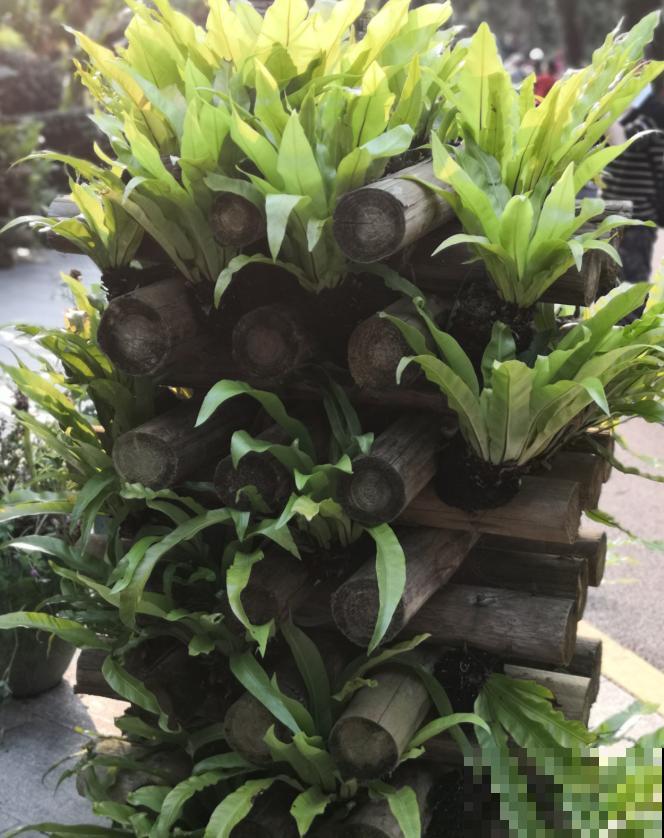 还敢说你的花园有创意?看看这些脑洞设计,一般人做不来! 还敢说你的花园有创意?看看这些脑洞设计,一般人做不来!