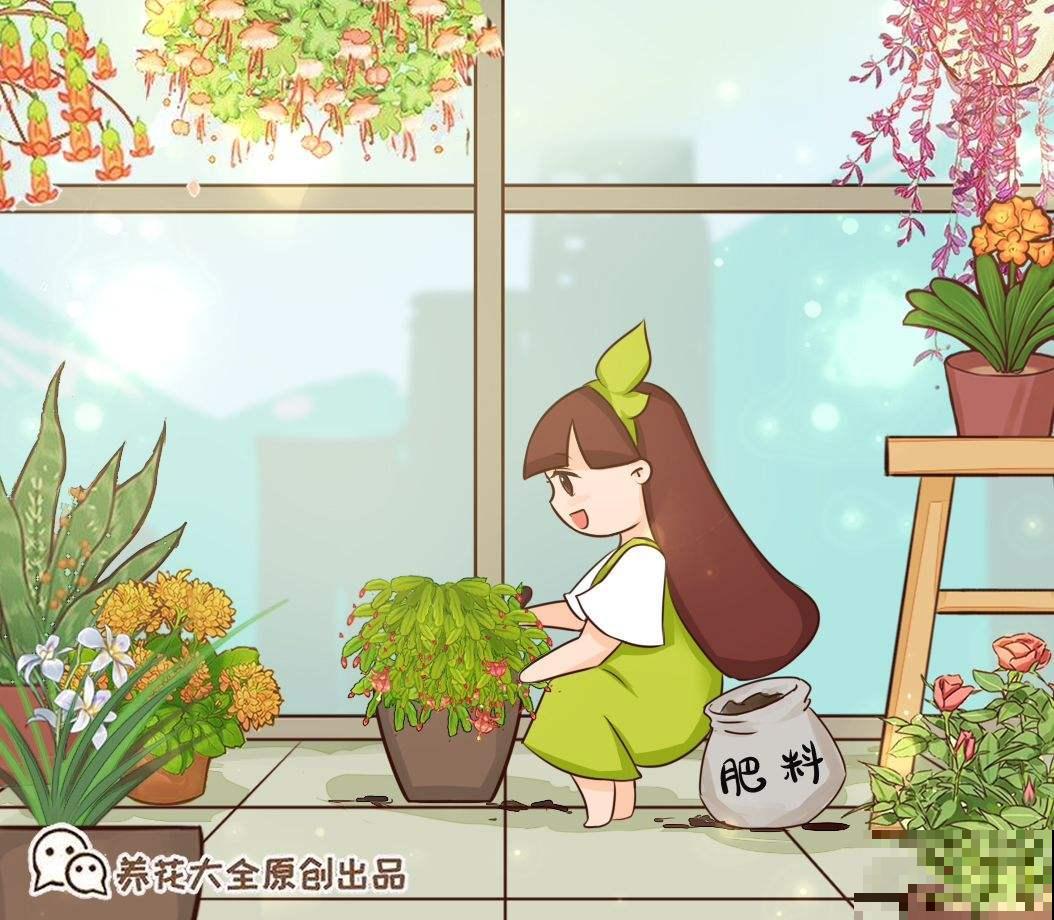 现在气温还不冷，有些情况不能施肥，你家花存在这些情况吗