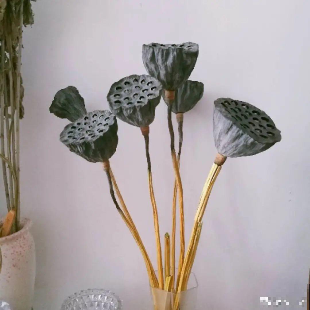 把花剪下来，倒挂几天风干，就能变成永生花！