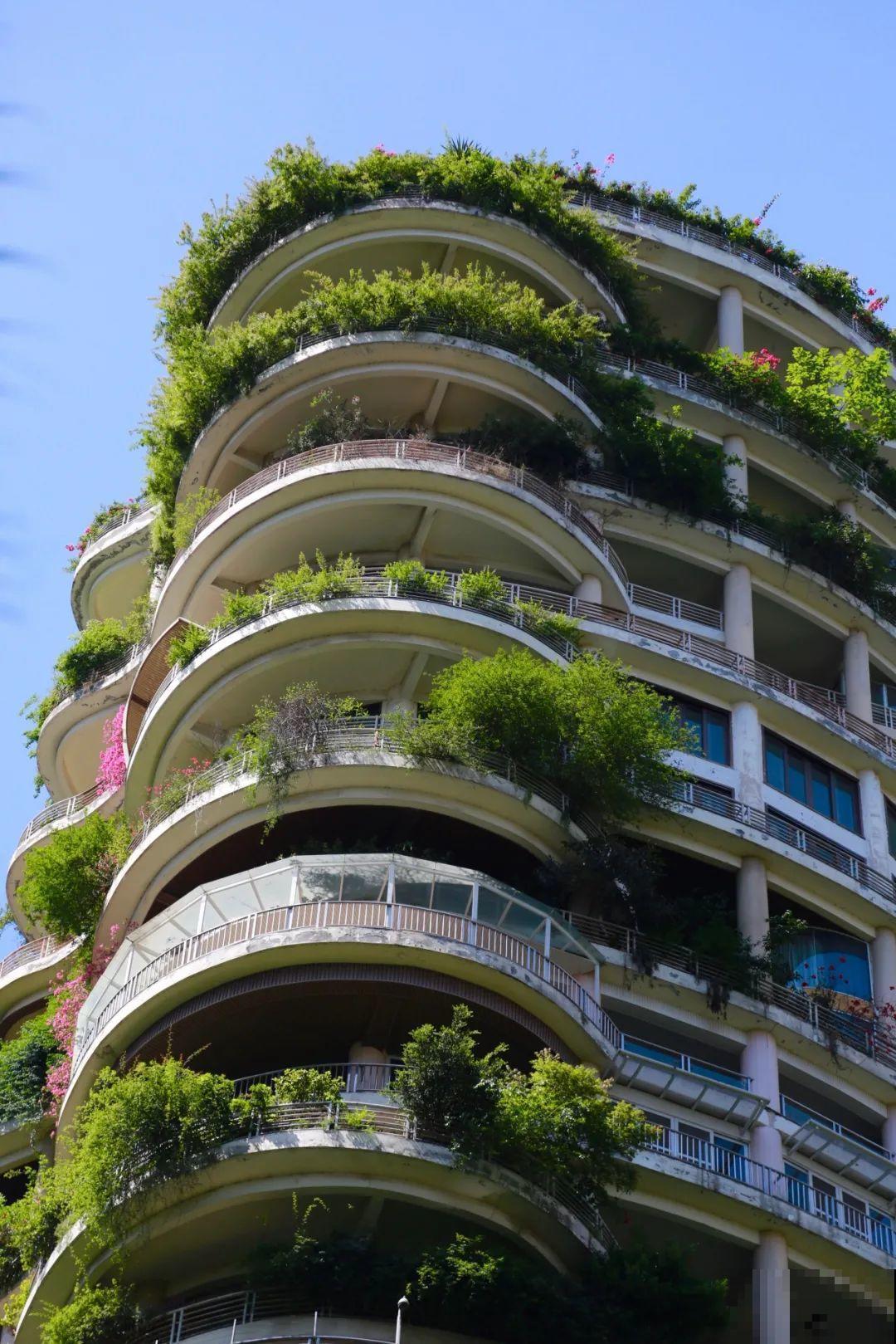 小区楼房被绿植全包围,像个森林一样,你想住进去吗? 小区楼房被绿植全包围,像个森林一样,你想住进去吗?