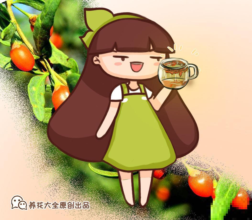 家里养盆果子树，结满“小灯笼”，好吃还养生