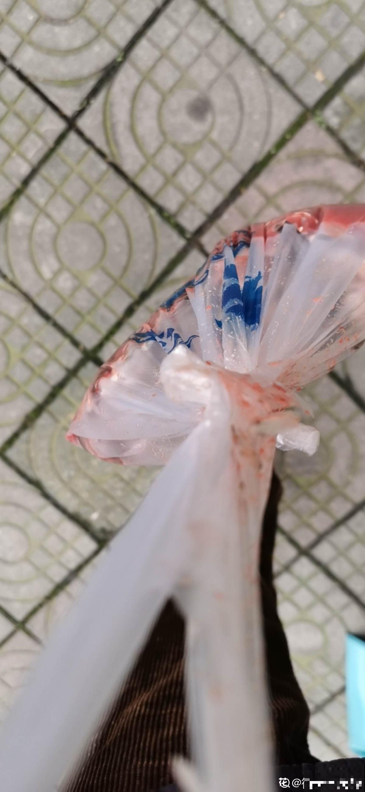 淘米水里加点料,养分更充足,花喝了砰砰冒花苞 淘米水里加点料,养分更充足,花喝了砰砰冒花苞