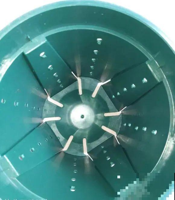 秋老虎来了，9种花进入“死期”，切莫大意！