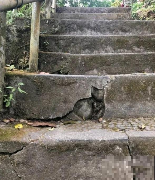 16种奇花异草,随便挑一个,你都没见过! 16种奇花异草,随便挑一个,你都没见过!