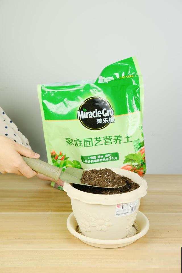 土壤消毒，试了才知道，这种方法才最靠谱