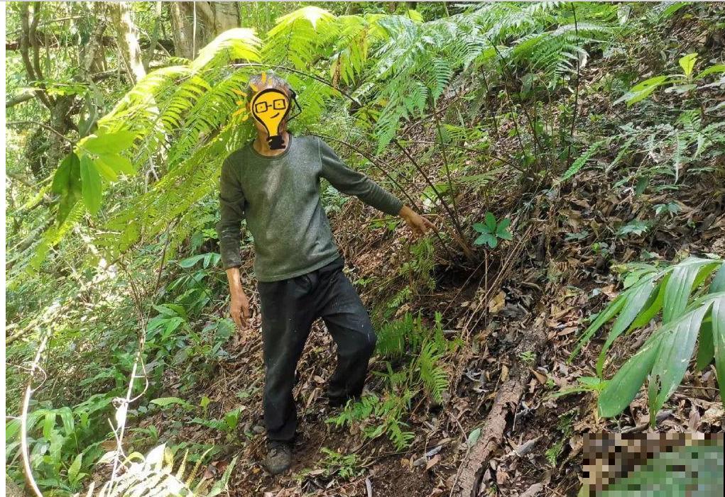 山上的雪莲,说摘就摘? 山上的雪莲,说摘就摘?