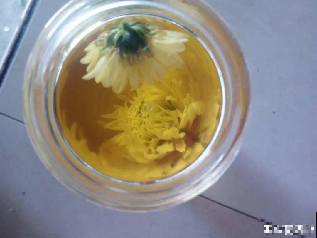 白色蜀葵竟被拦腰折断,说是因为颜色不吉利,真无语! 白色蜀葵竟被拦腰折断,说是因为颜色不吉利,真无语!