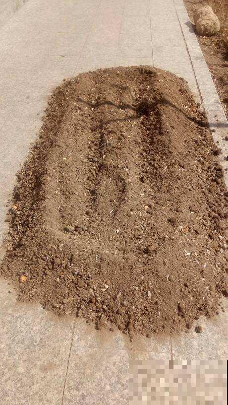 土壤消毒，试了才知道，这种方法才最靠谱