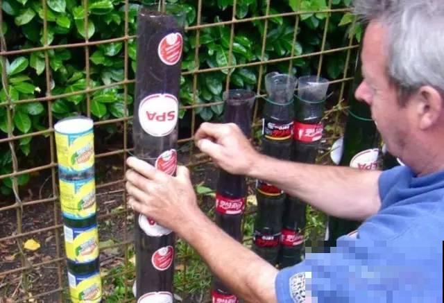 旧筷子、老干妈瓶，都是养花宝贝，做盆浇水都能用！