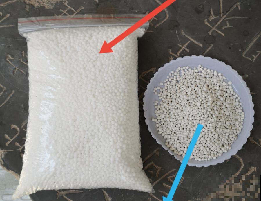 9月施肥季,这花赶紧贴秋膘,才能爆开花! 9月施肥季,这花赶紧贴秋膘,才能爆开花!