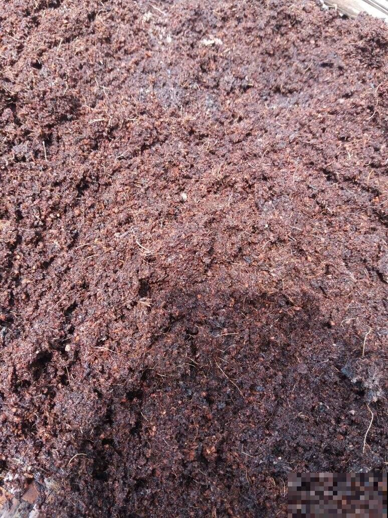 什么才是好的园土,养了这么久的花,现在才分清 什么才是好的园土,养了这么久的花,现在才分清