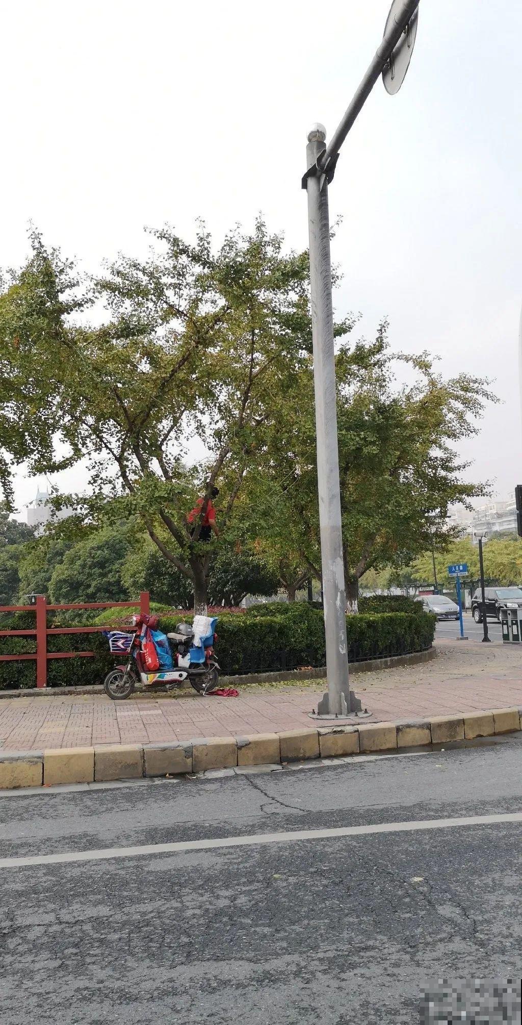 路边捡的果子有剧毒，看见了要躲开！