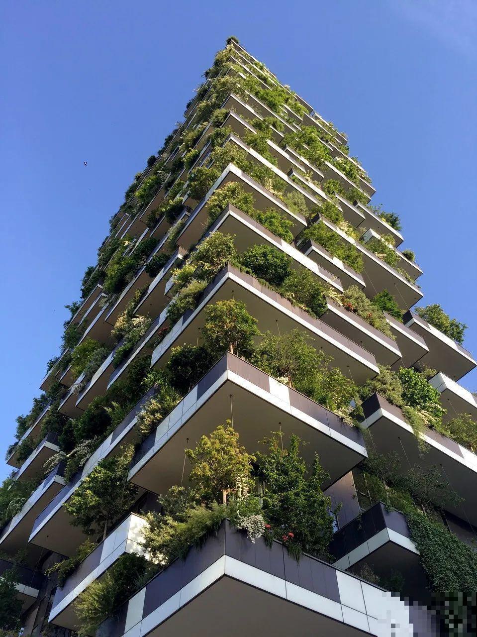 小区楼房被绿植全包围,像个森林一样,你想住进去吗? 小区楼房被绿植全包围,像个森林一样,你想住进去吗?