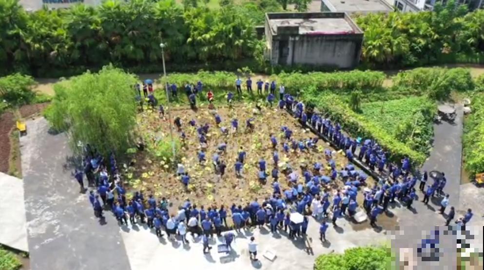 重庆一家企业,楼顶用来种菜养花,佩服! 重庆一家企业,楼顶用来种菜养花,佩服!