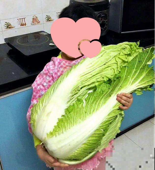 农村大姐，种出1.5米大冬瓜，我看谁还敢说矮！