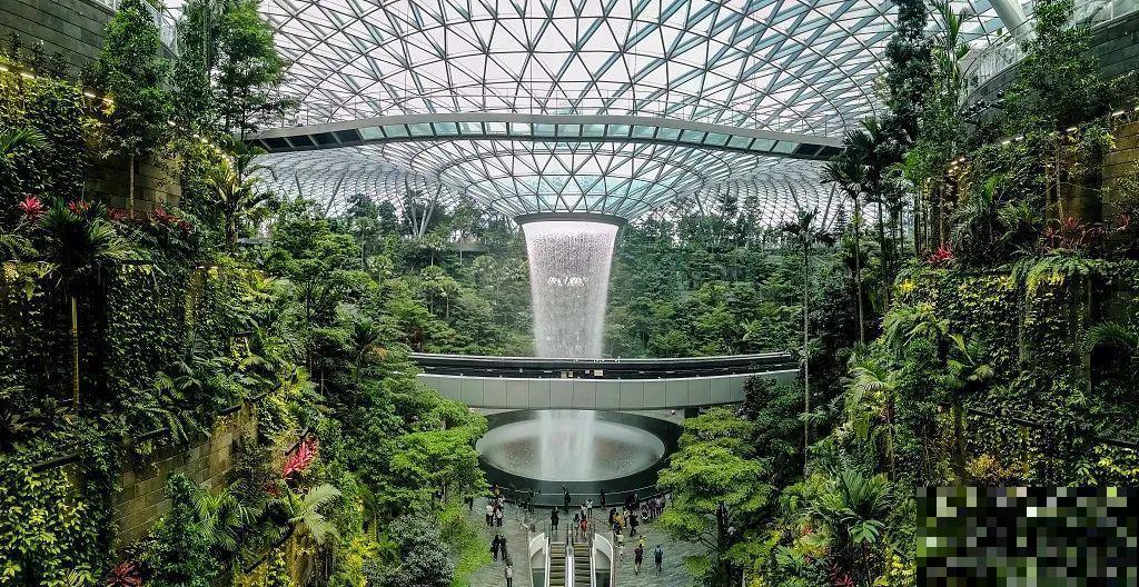 小区楼房被绿植全包围,像个森林一样,你想住进去吗? 小区楼房被绿植全包围,像个森林一样,你想住进去吗?