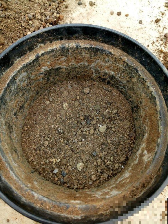 秋天养花就得折腾,修剪换盆施肥,一个工作都不能少! 秋天养花就得折腾,修剪换盆施肥,一个工作都不能少!