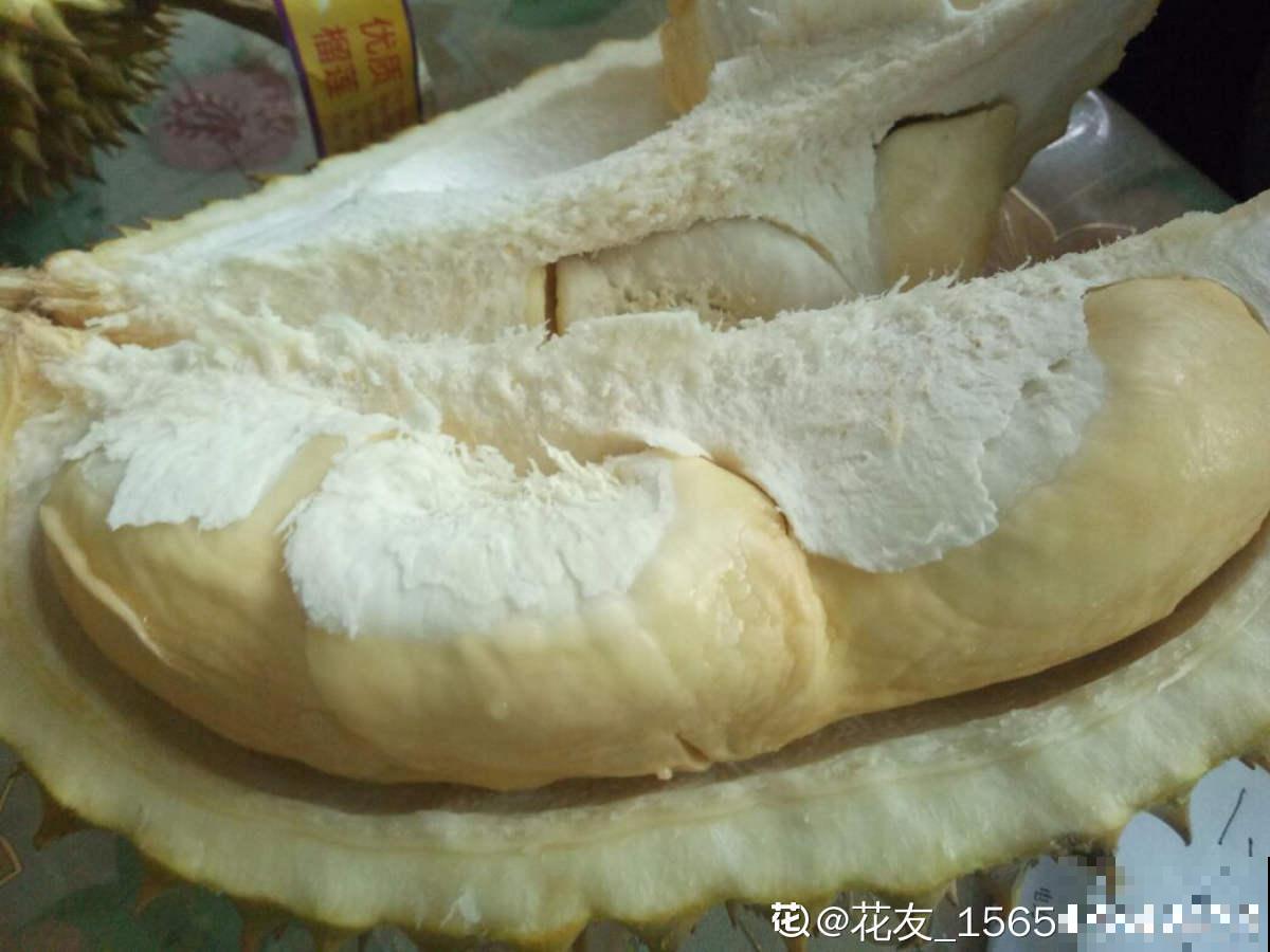 给花吃点榴莲壳，叶子长得飞快，10年不烂根