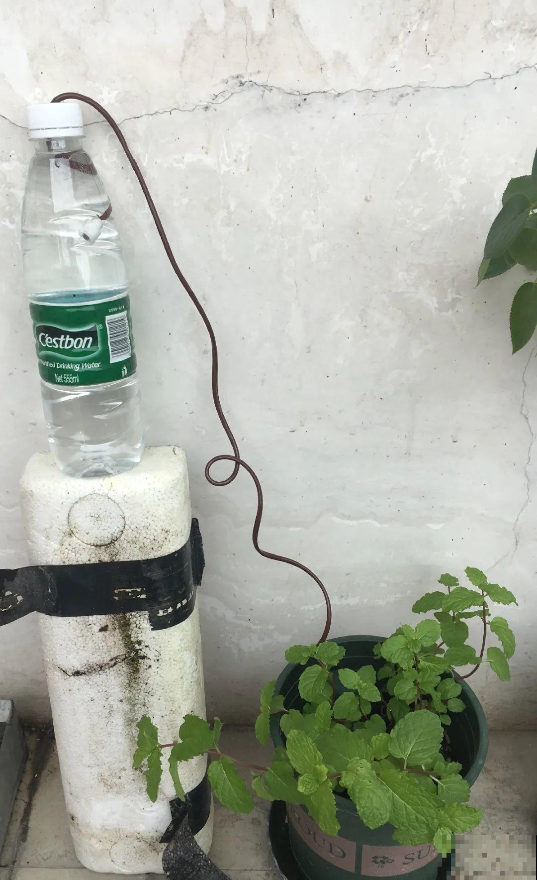 出门前，DIY个浇水神器，花就不会渴死了！