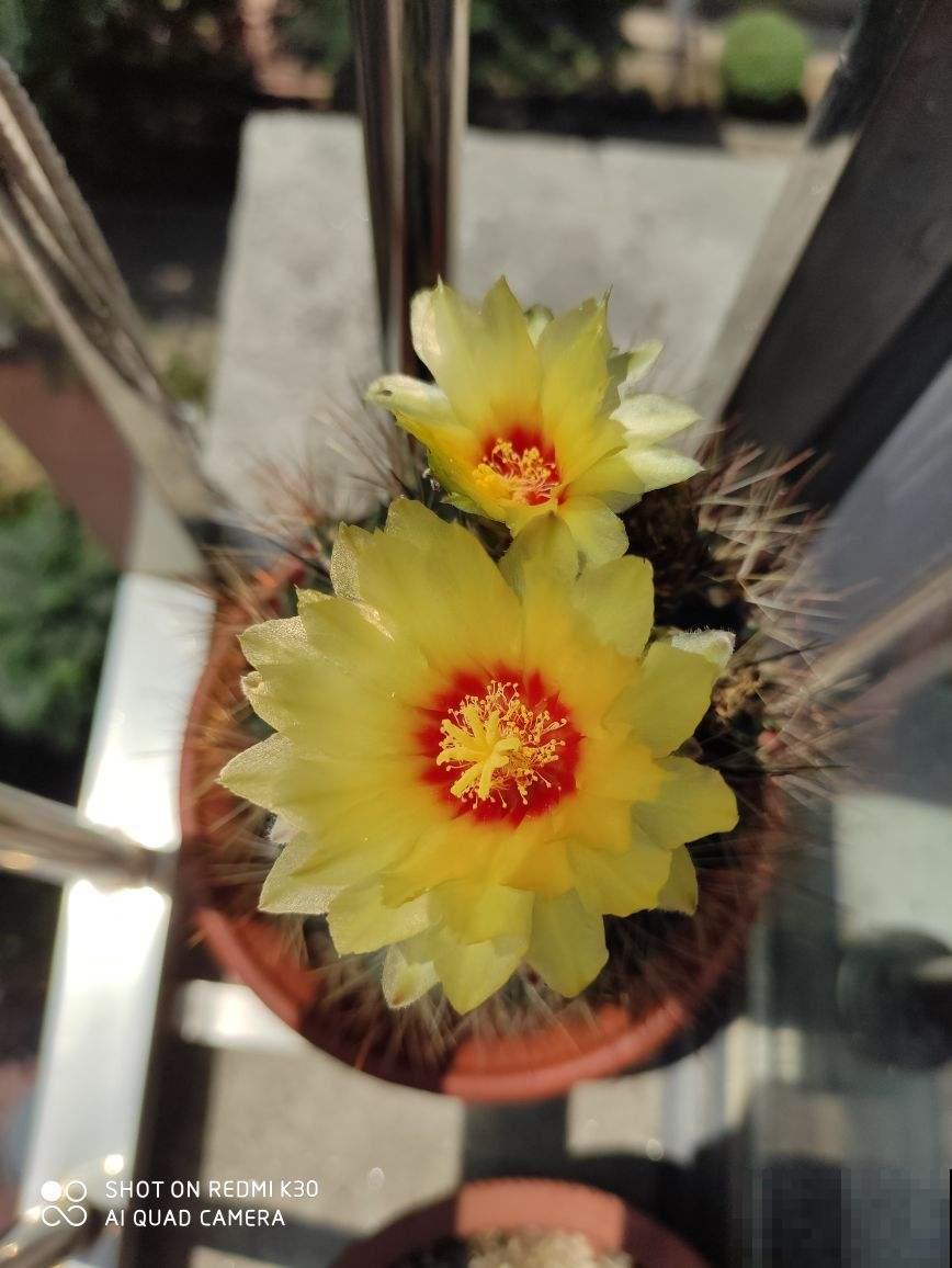 养花形成的8个习惯,听说超级准,你中了几条? 养花形成的8个习惯,听说超级准,你中了几条?