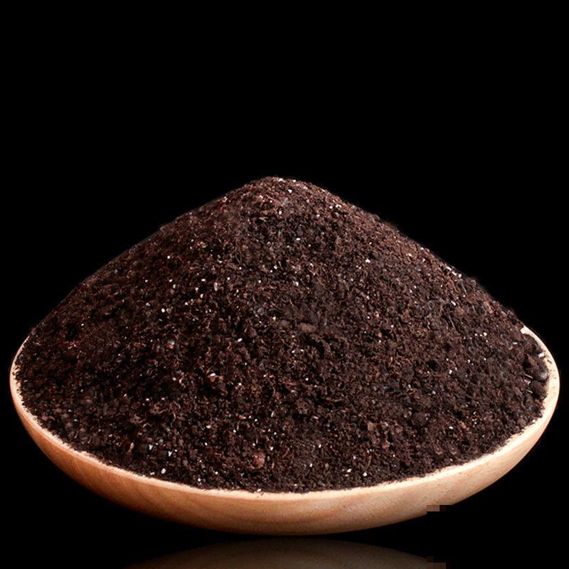 想要梦幻？不用去普罗旺斯，1把马鞭草种子满足你！