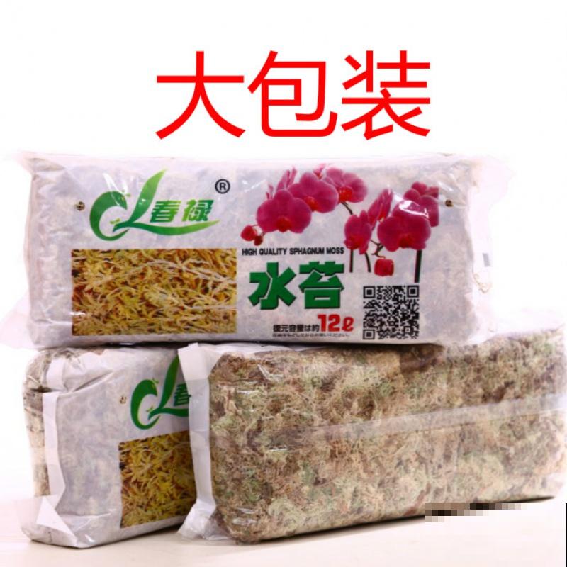 家里的花,用这东西裹住,捂一捂,可以快速生根! 家里的花,用这东西裹住,捂一捂,可以快速生根!