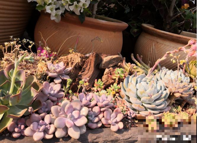 还敢说你的花园有创意?看看这些脑洞设计,一般人做不来! 还敢说你的花园有创意?看看这些脑洞设计,一般人做不来!