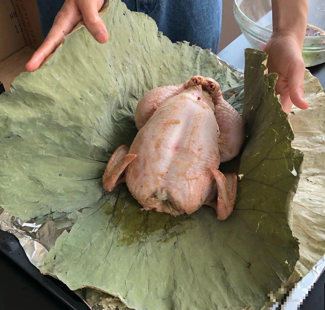 荷花全身都是宝,怎么吃都好吃,夏天清热又败火! 荷花全身都是宝,怎么吃都好吃,夏天清热又败火!