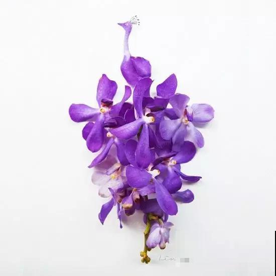 她把家里的花,都做成了裙子,美得我都想买来穿! 她把家里的花,都做成了裙子,美得我都想买来穿!