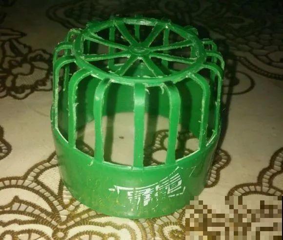 旧筷子、老干妈瓶，都是养花宝贝，做盆浇水都能用！