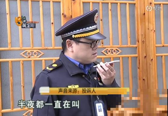 重庆一家企业,楼顶用来种菜养花,佩服! 重庆一家企业,楼顶用来种菜养花,佩服!