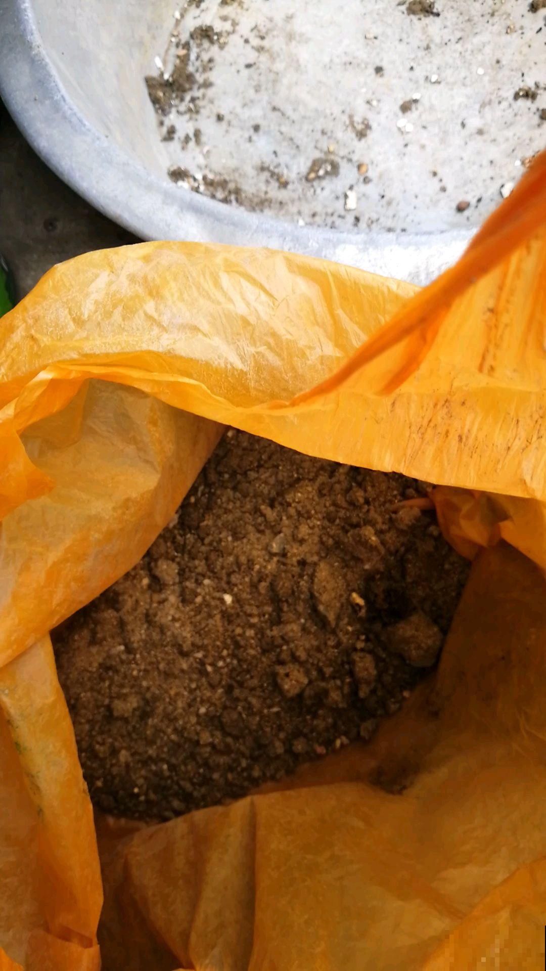 小苏打撒土里,花不招虫不生病,花苞摁都摁不住! 小苏打撒土里,花不招虫不生病,花苞摁都摁不住!