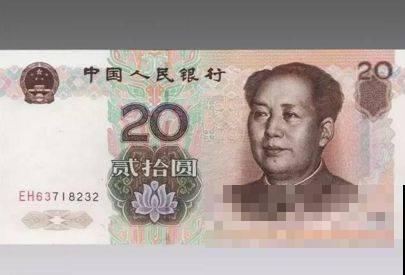 人民币上的“发财花”，寓意超好，你家养了几盆