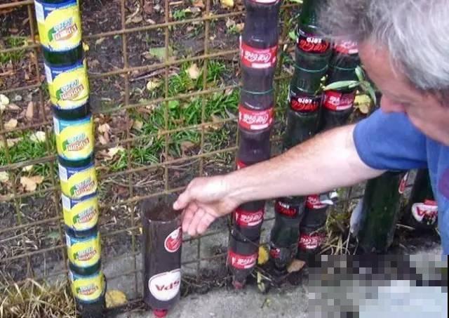 旧筷子、老干妈瓶，都是养花宝贝，做盆浇水都能用！