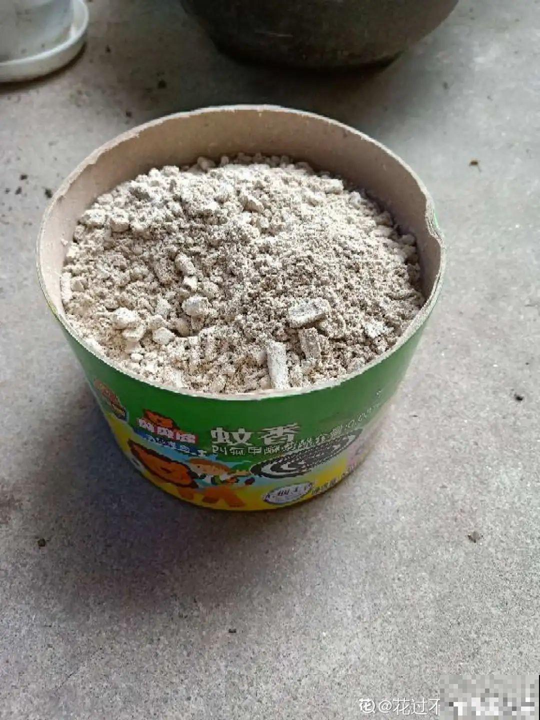 网红“巴西木”丢水里,1个月发霉了,咋办? 网红“巴西木”丢水里,1个月发霉了,咋办?