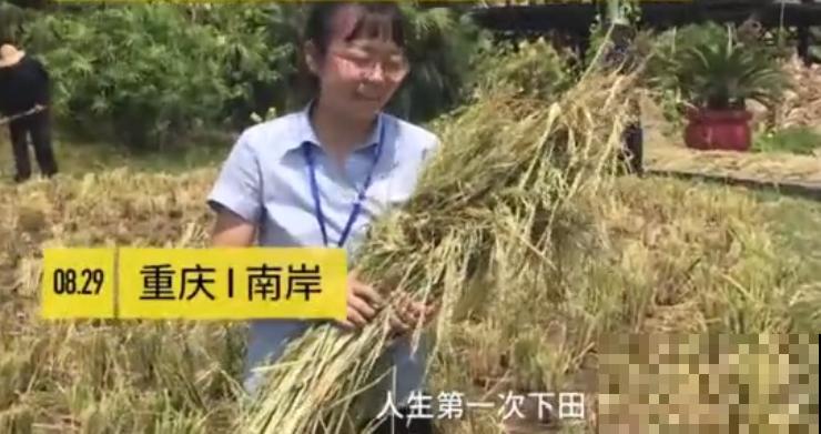 重庆一家企业,楼顶用来种菜养花,佩服! 重庆一家企业,楼顶用来种菜养花,佩服!