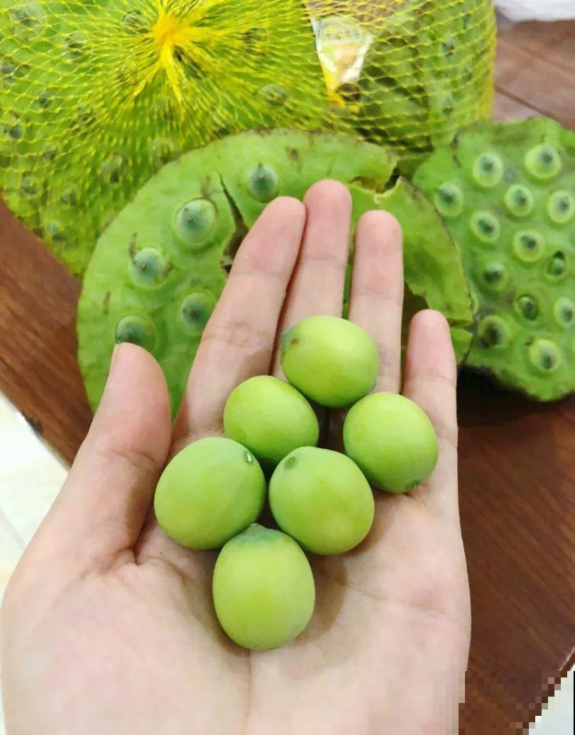 荷花全身都是宝,怎么吃都好吃,夏天清热又败火! 荷花全身都是宝,怎么吃都好吃,夏天清热又败火!