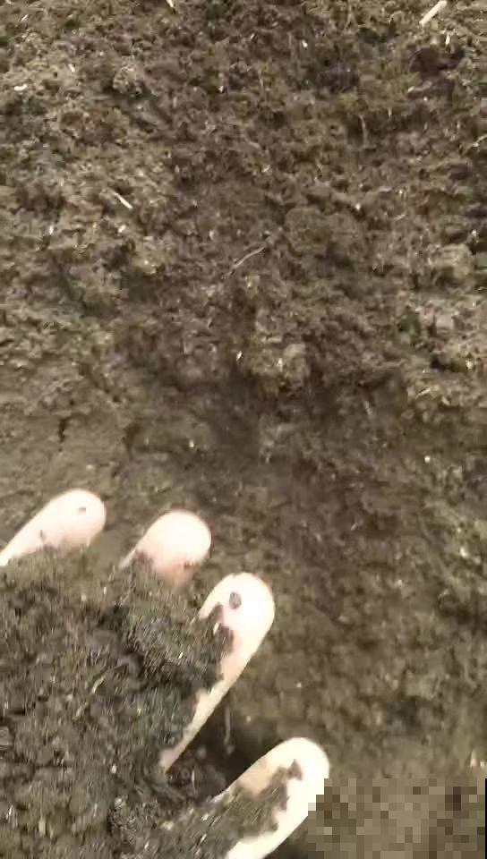 5种错误养花法,招招“致命”,看你有没有中 5种错误养花法,招招“致命”,看你有没有中