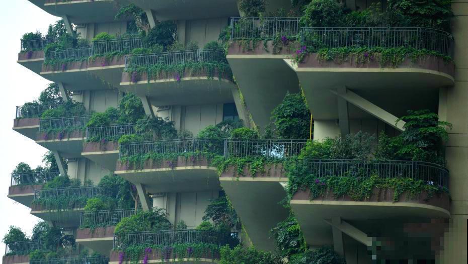 被绿植包围的森林小区,家家阳台满是植物,这样的小区你想住吗? 被绿植包围的森林小区,家家阳台满是植物,这样的小区你想住吗?
