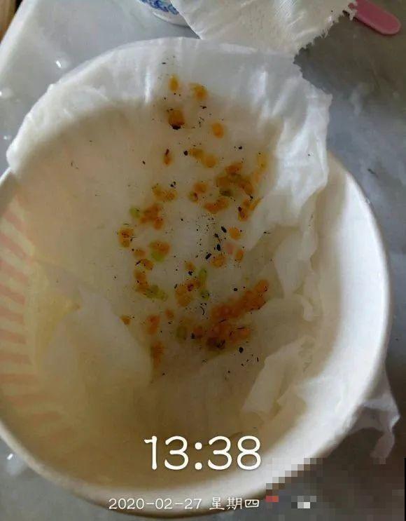 西红柿、玉米……埋土里，7天长成小森林，结出果子一大筐！